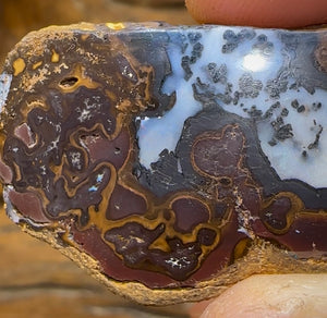 166cts - Yowah Nut Opal Polished Partial Kernel Specimen - Opal Whisperers