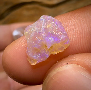 (Template) 55.7cts - 7x Lightning Ridge Crystal Opal Rough - Opal Whisperers