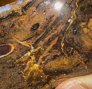 257.5cts - Australian Yowah Nut Kernel Boulder Opal Specimen Polished - Opal Whisperers