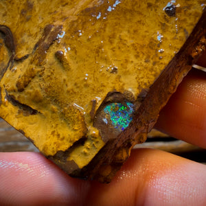 471cts - Yowah Opal Rough Piece. Biscuit Band