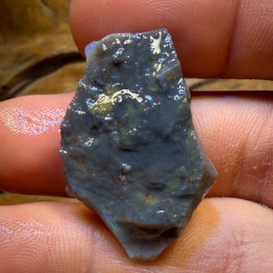 28.7cts - Lightning Ridge Black Opal Rough Piece