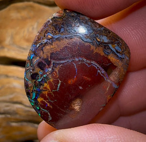 35,4 carats - Opale Boulder tribale du Queensland de Koroit, double face