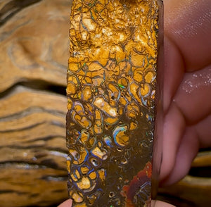 (Template) 178.4cts - Yowah Nut Rough Piece. TOP TRIBAL - Opal Whisperers