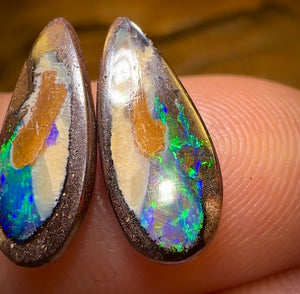 4.9cts - Yowah Nut Kernel Opal Pair