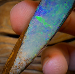 96.2cts - “Adams Rib”GEM Fossil Crystal Opal. Isaac’s Cut!