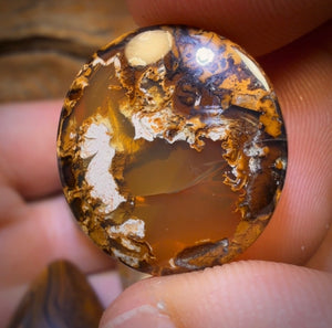 180.7cts - 5x Australian Boulder Opal’s. Wholesale Dealers Parcel