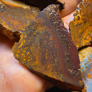 1118cts - 7x Koroit Nut Tribal Opal Rough Parcel. Australian Boulder Opal