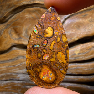 42.2cts - Yowah Nut Conglomerate Opal. Australian Opal