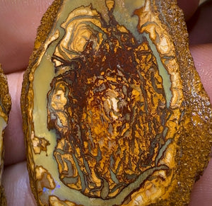 136.3cts - Yowah Nut Rough Specimen Pair. Australian Boulder Opal - Opal Whisperers