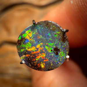 1.5cts - Australian Boulder Seam Opal
