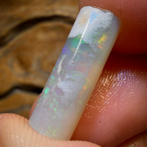 10.1cts - Opalised Belemnite Geological Specimen from South Australia