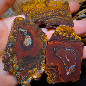 1007cts - 3x Yowah Nut Tribal Opal Rough Parcel. Australian Boulder Opal