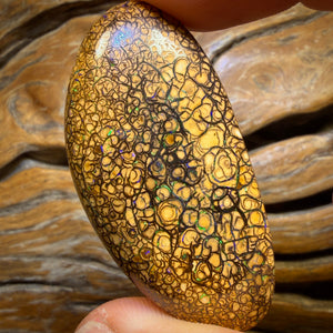 107.6cts - Large Tan Tribal Queensland Boulder Opal from Yowah