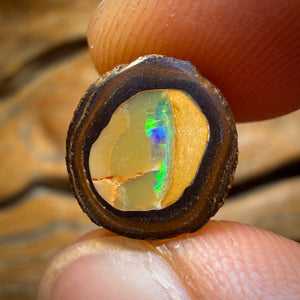 11.3cts - Yowah Nut Kernel Opal. Polished Specimen