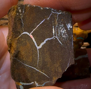 769cts - 4x Queensland Boulder Opal Rough Parcel from Winton