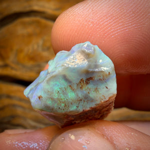 42,8 cts - Morceau d'opale brute Lightning Ridge