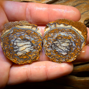 112.8cts - Yowah Nut Tribal Opal Rough Specimen Pair