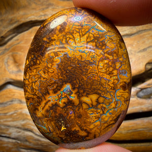 113.4cts - Tribal Yowah Nut Opal. Australian Opal