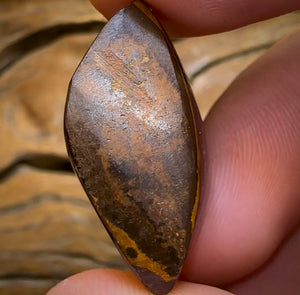 37.8cts - “Purple Kernel”Polished Koroit Nut Opal Specimen - Opal Whisperers