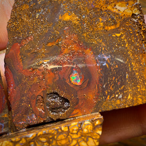 667cts - 3x Yowah Nuss Roh Opal Paket. Australischer Opal