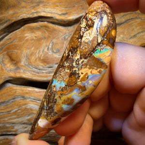 119.6cts - Wood Fossil Replacement Boulder Opal from Yowah