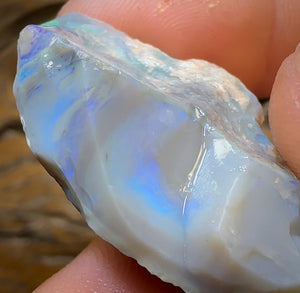 58.3cts - Lightning Ridge Opal Rough Piece