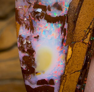 15.4cts - Australian Boulder Wood Fossil Replacement Opal - Opal Whisperers