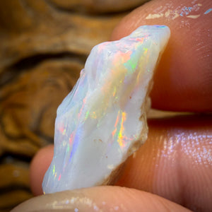 12.7cts - South Australian White Opal Rough Piece