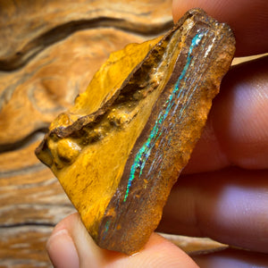124cts - Yowah Opal Rough Piece. Biscuit Band