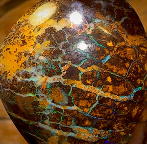 Auction Fall-Through = Your Gain! 🔥 Now More Than 50% Off RRP 🚨 225.6cts - Large Tribal Queensland Boulder Opal from Yowah