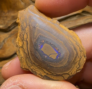 79cts - Yowah Nut Opal Polished Specimen - Opal Whisperers