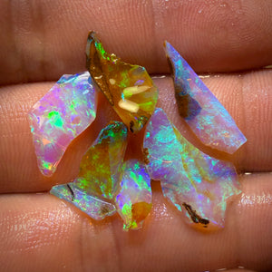 13.1cts - 7x Australian Yowah Wood Crystal Opal Rough Pieces. Highly Prized Material