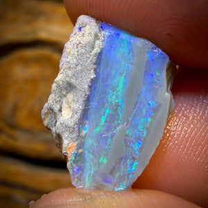 13.1cts - Lightning Ridge Opal Rough Piece. Isaac’s Cutter’s!