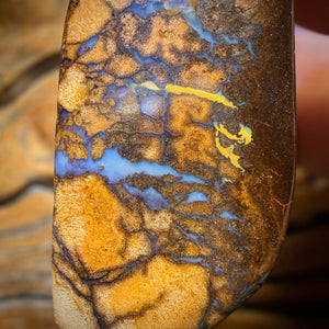 Bargain Card! 41 x 19mm - Drilled Tribal Queensland Boulder Opal Necklace