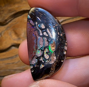 47.8cts - Tribal Koroit Nut Opal. Australian Opal - Opal Whisperers