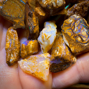 🔒330.5cts - 20x Opalised Wood/Vegetation Fossil Rough Parcel from Yowah