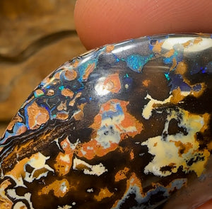 177.2cts - Queensland Boulder Australian Opal Specimen - Opal Whisperers
