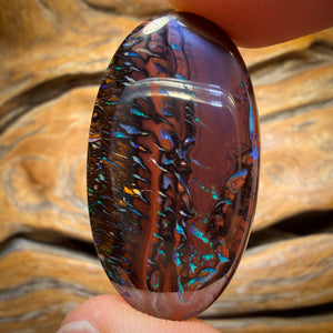 Aren’t You Glad you stayed until the end Card! 45.4cts - Tribal Koroit Nut Opal. Double Sided