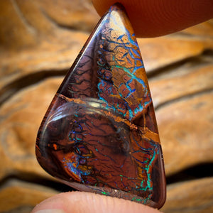 14.2cts - Tribal Koroit Nut Opal. Australian Opal