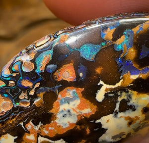 177.2cts - Queensland Boulder Australian Opal Specimen - Opal Whisperers