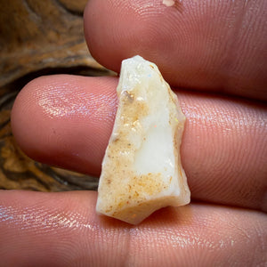 12.2cts - South Australian White Opal Rough Piece
