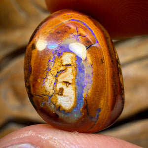 15.1cts - Yowah Nut Kernel Opal. Australian Boulder Opal