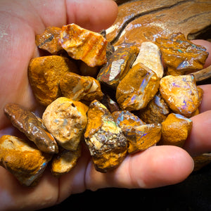 150g - Yowah Opalised Wood/Vegetation Fossil Rough Parcels. Multiple Available!
