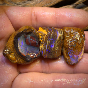 154.7cts - 3x Yowah Nut Rough Opal Parcel. Fossil and Kernel!