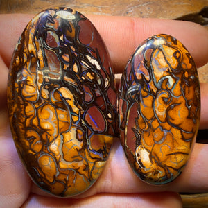 156.2cts - Tribal Queensland Boulder Opal Pair