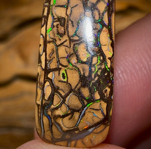 16.6cts - Yowah Nut Tribal Opal - Opal Whisperers