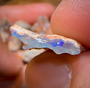 78.6cts - 6x Opalised Fossil Geological Specimens from Lightning Ridge