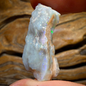 16.6cts - Lightning Ridge Dark Opal Rough Piece