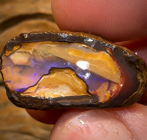 41.2cts - Yowah Nut Crystal Centre Rough Specimen