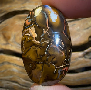 60.1cts - Big Queensland Boulder Opal. Yowah Tribal